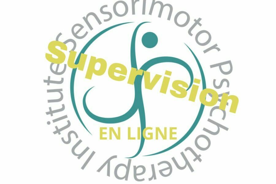 Inscrivez-vous à une demi-journée de supervision en Psychothérapie Sensorimotrice® avec Raphaël Gazon, le 07/04/2025 - En ligne