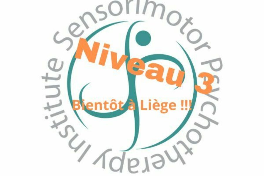 Bientôt à Liège - NIVEAU 3 - FORMATION INTÉGRATIVE AVANCÉE EN PSYCHOTHÉRAPIE SENSORIMOTRICE®