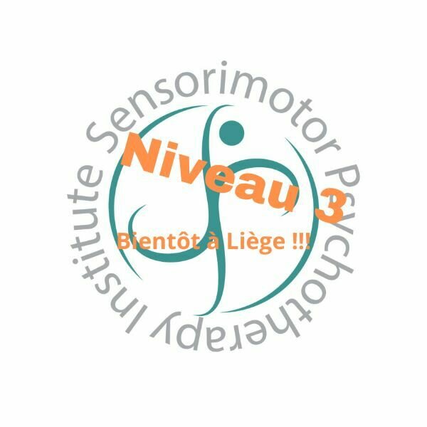 A Liège - NIVEAU 3 - FORMATION INTÉGRATIVE AVANCÉE EN PSYCHOTHÉRAPIE SENSORIMOTRICE®