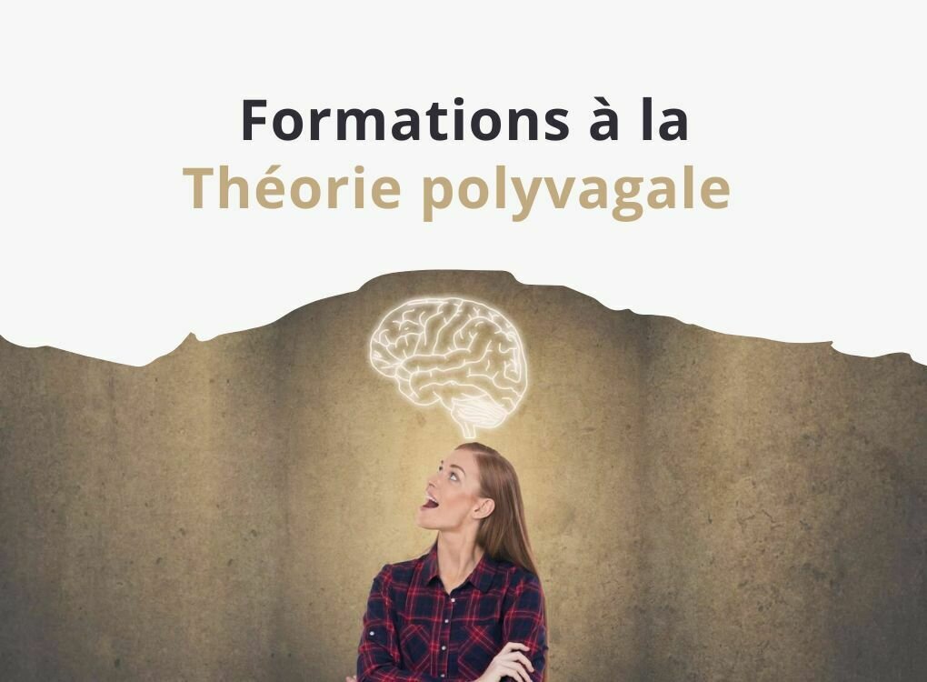 Formations à la Théorie polyvagale